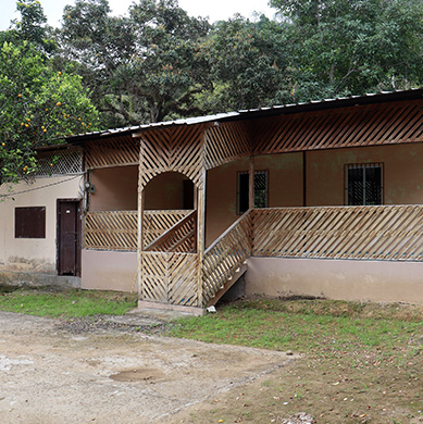 Junín Sitio Cañas - 21.17 Has B